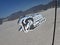 2026 RAM Ram 1500 RAM 1500 LONE STAR CREW CAB 4X2 5'7' BOX